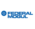 Federal mogul logo